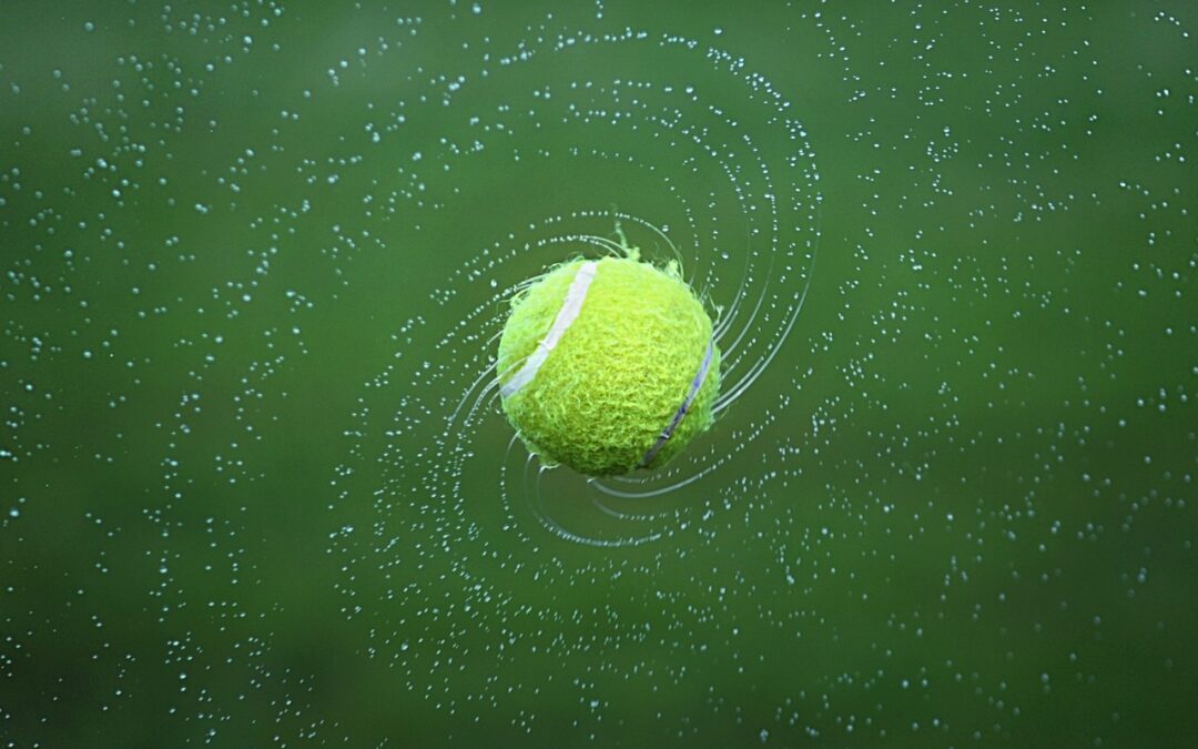 Tennis: Macro and Micro Views